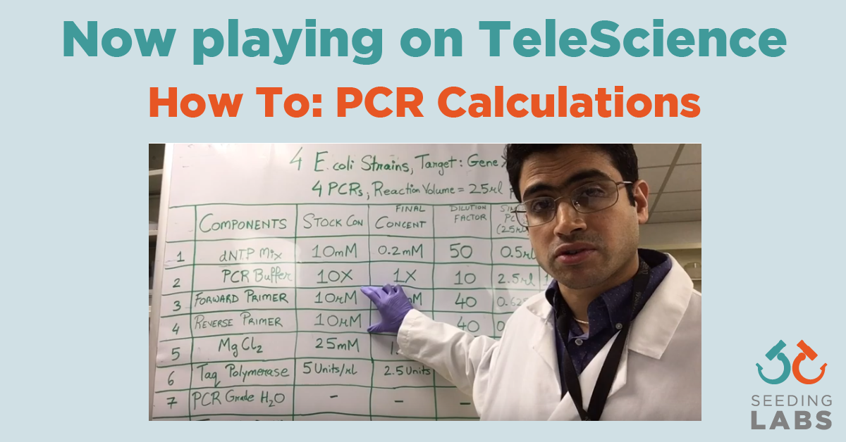 How To Pcr Calculations Telescience By Seeding Labs Telescience By Seeding Labs