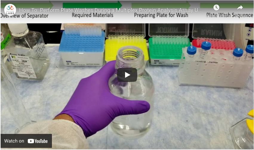 Featured image for “How To: Perform Plate Washes During a Multiplex Protein Analysis Assay Using a Hand-held Magnet”