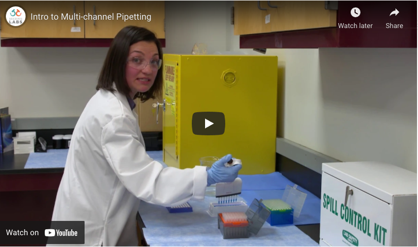 Featured image for “Intro to Multi-Channel Pipetting”