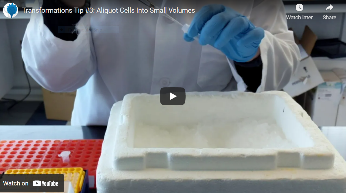 Aliquot Cells into Small Volumes Still Shot