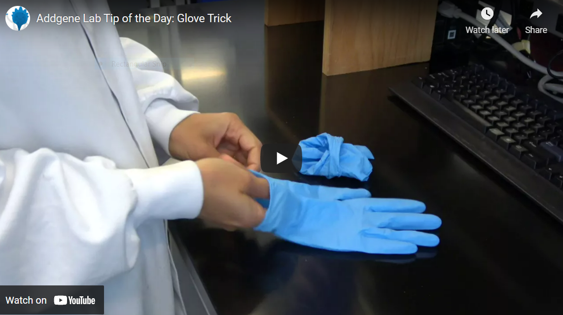 Featured image for “Lab Safety: Glove Trick”