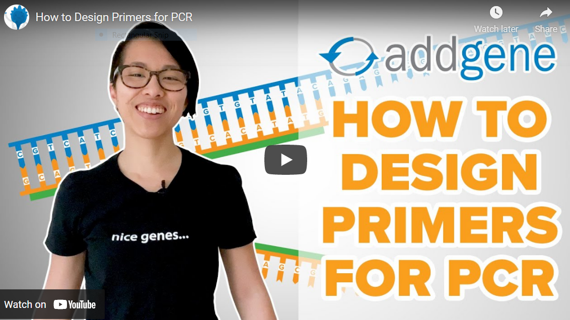 Addgene How to Design Primers for PCR Still Shot