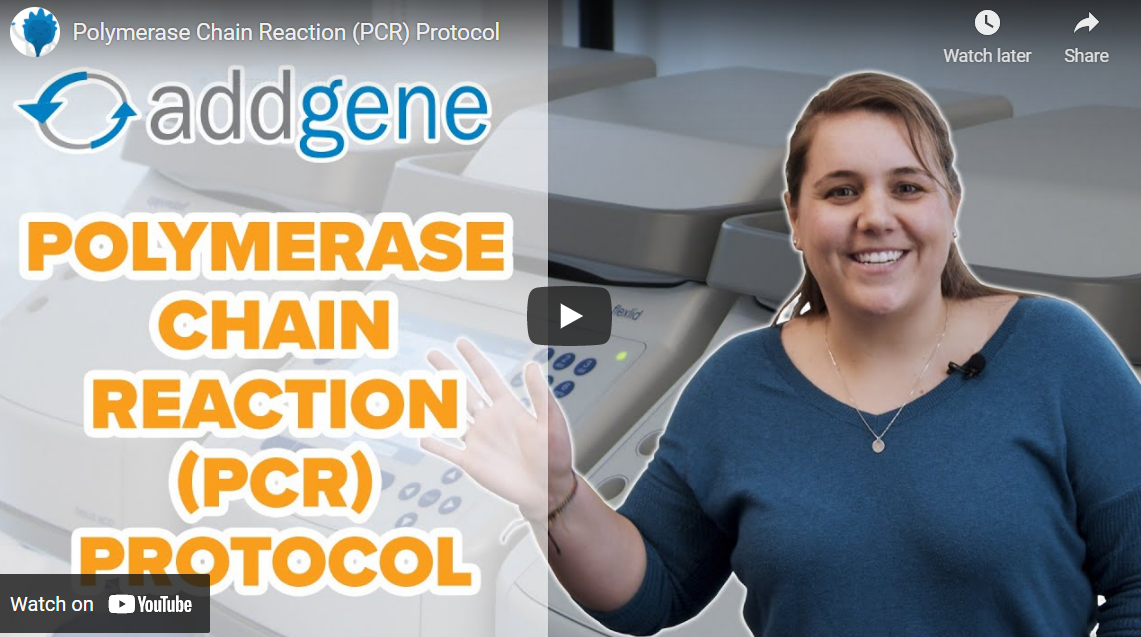 Polymerase Chain Reaction (PCR) Protocol Still Shot