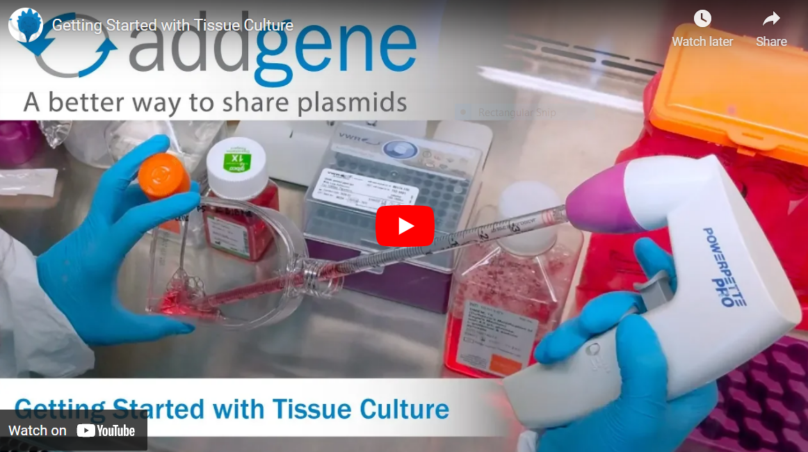 Getting Started With Tissue Culture Video Still