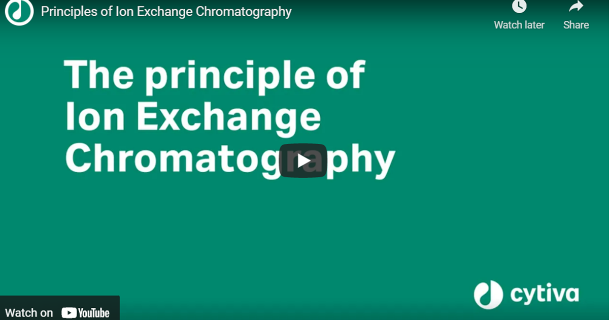 ion exchange chromatography